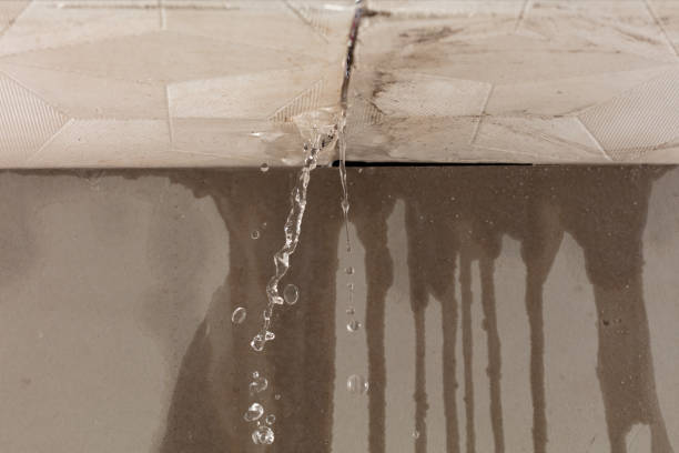Professional Water Damage Repair technician working in Paradise, PA